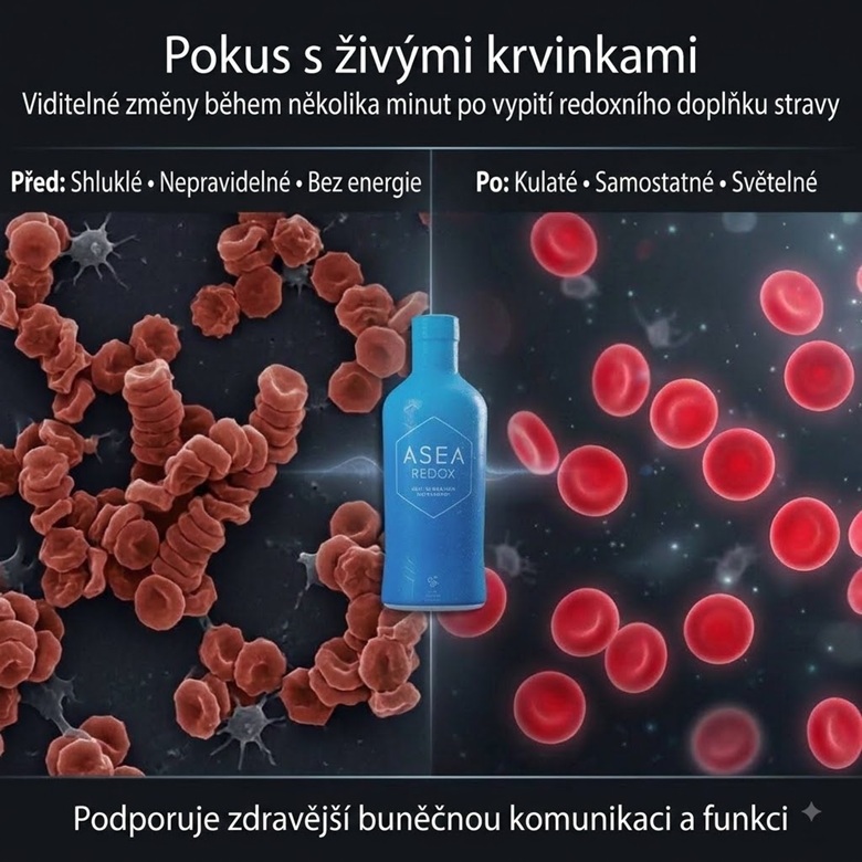 redox krev 