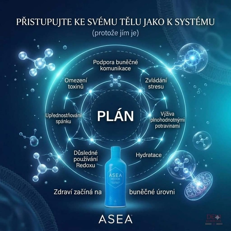 Asea plán web